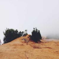 Explore Biome