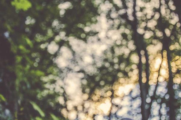 Explore the World